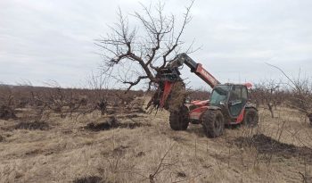 3in1 Rooter Kralle für Manitou voll