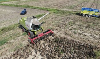 Dominoni Free Sun GF 760 rowless sunflower harvester full