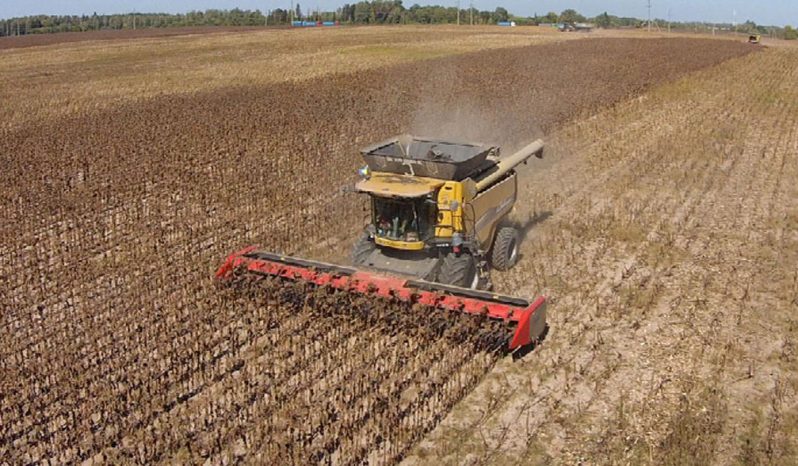 Dominoni Free Sun GF 760 rowless sunflower harvester full