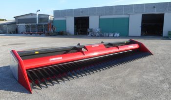 Dominoni Free Sun GF 760 rowless sunflower harvester full