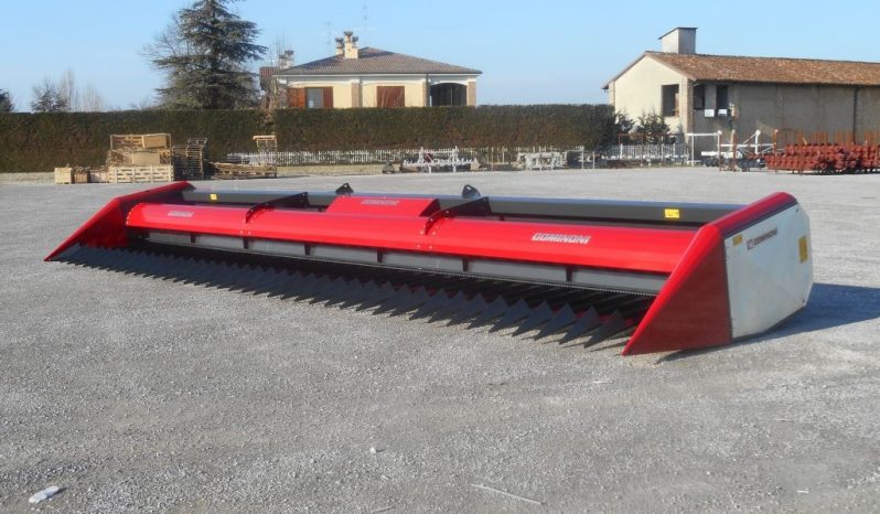 Dominoni Free Sun GF 760 rowless sunflower harvester full