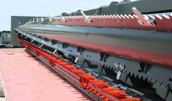 Dominoni Free Sun GF 760 rowless sunflower harvester full