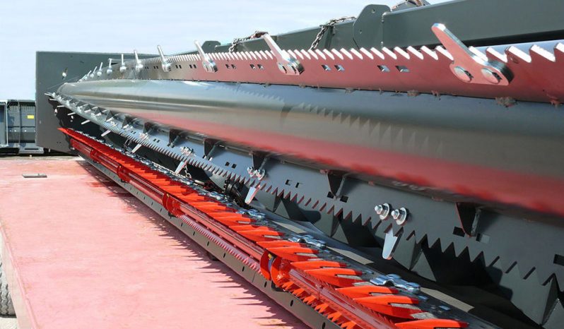 Dominoni Free Sun GF 760 rowless sunflower harvester full