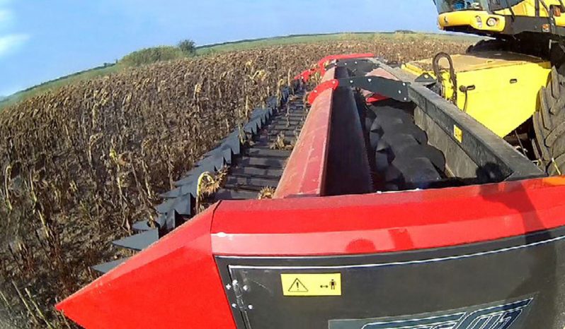 Dominoni Free Sun GF 760 rowless sunflower harvester full