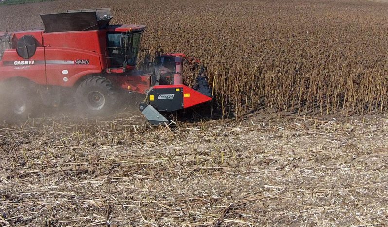 Dominoni Free Sun GF 760 rowless sunflower harvester full
