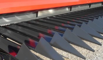 Dominoni Free Sun GF 760 rowless sunflower harvester full