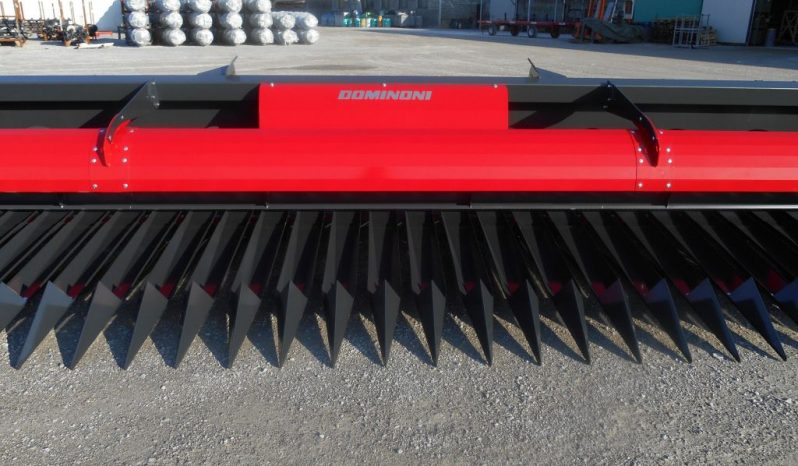 Dominoni Free Sun GF 760 rowless sunflower harvester full